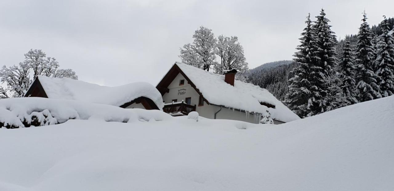 Ferienhaus Poettler Untertauern Exterior photo